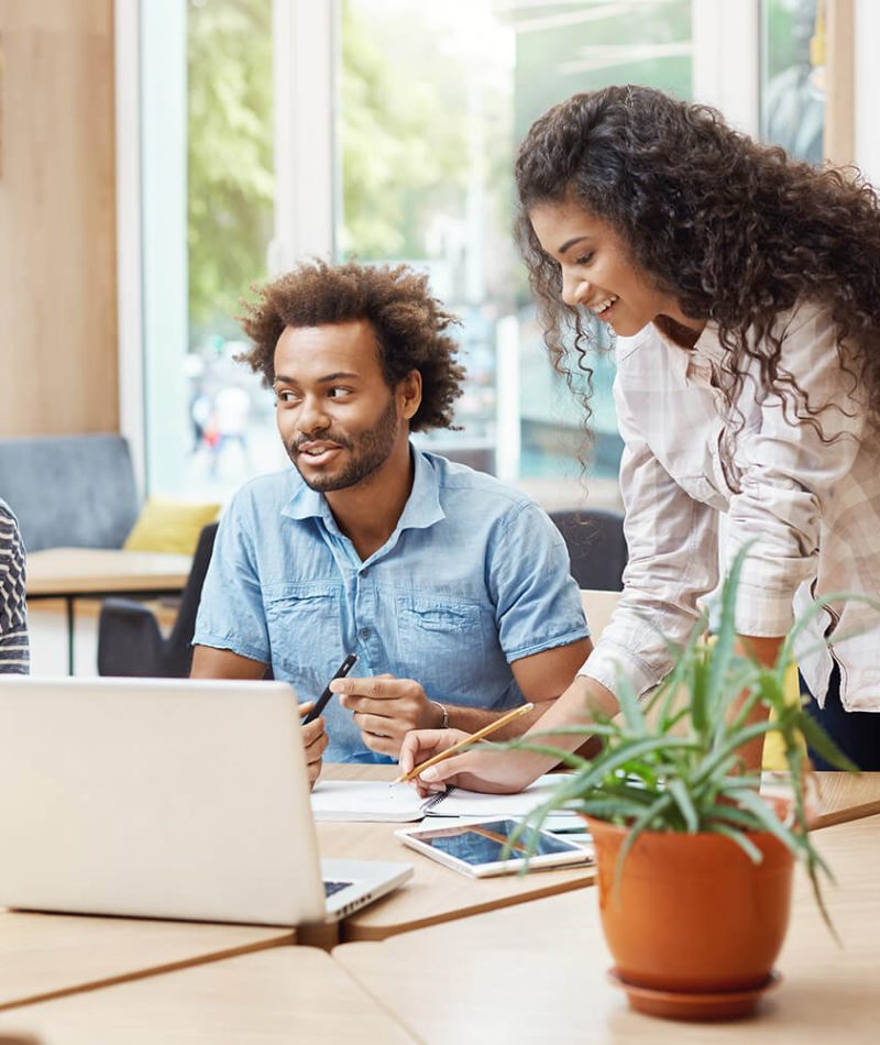 Insights and Creative Ideas Blog Hub